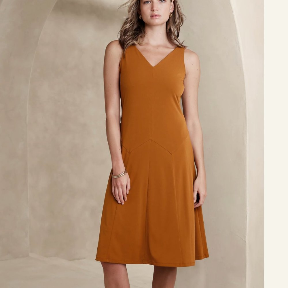 Banana Republic Sleeveless Drop-Waist Midi Dress Size L NEW